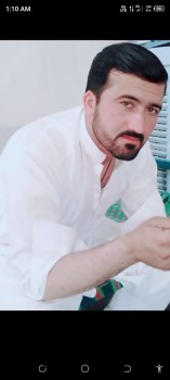 Imran Bacha