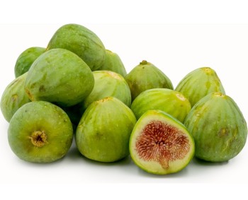 Fig