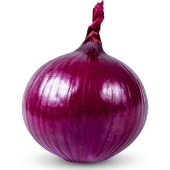 Onion