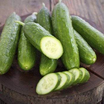 Cucumber