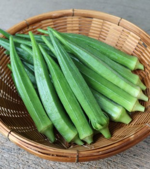 Okra