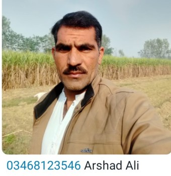 Arshad Ali