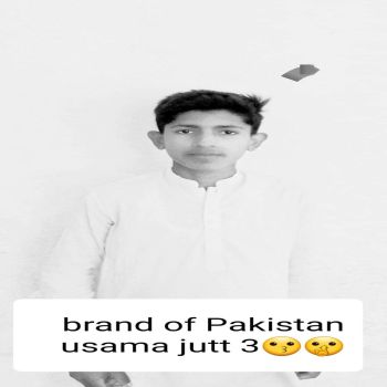 USAMA 357