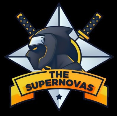 THE SUPERNOVAS