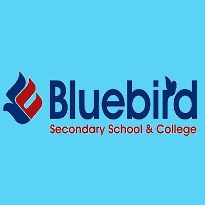 Bluebird College