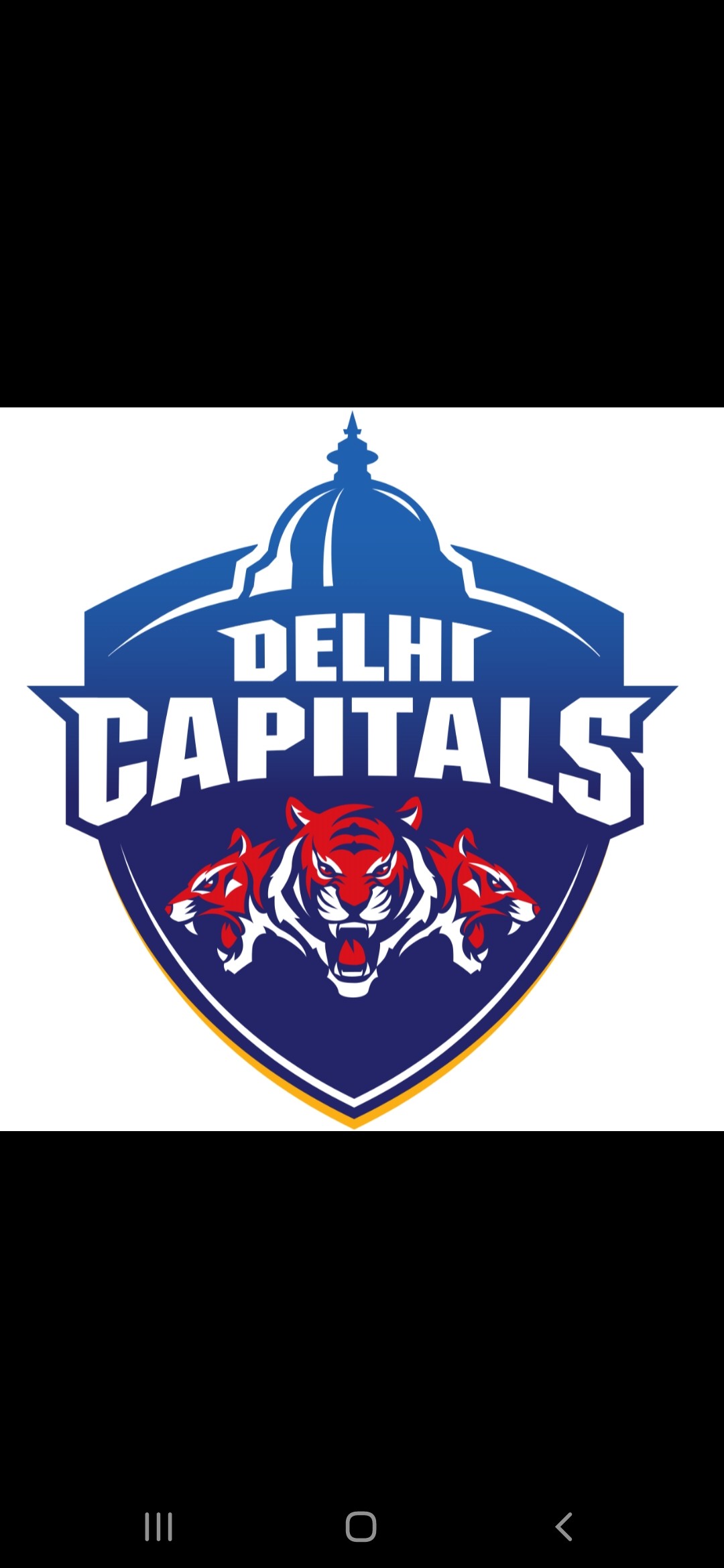 Delhi Capitals