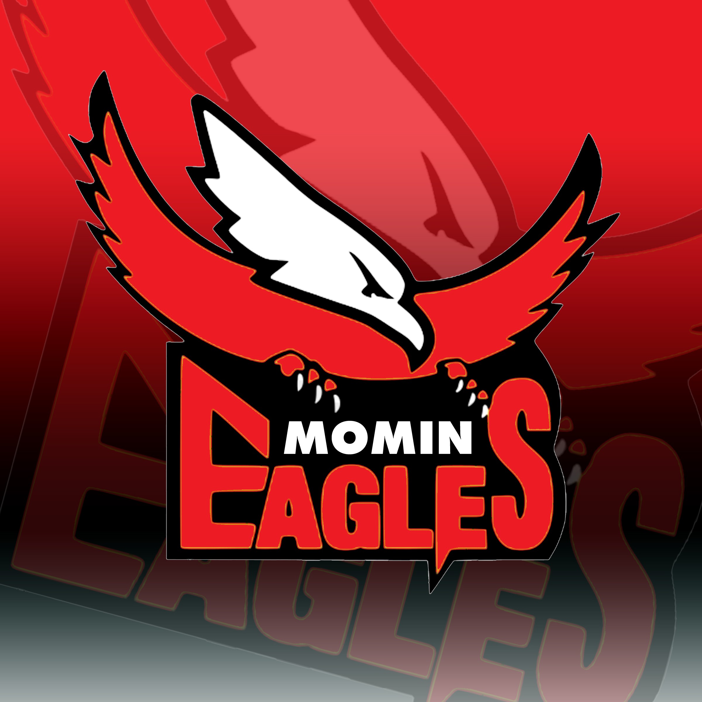 Momin Eagles