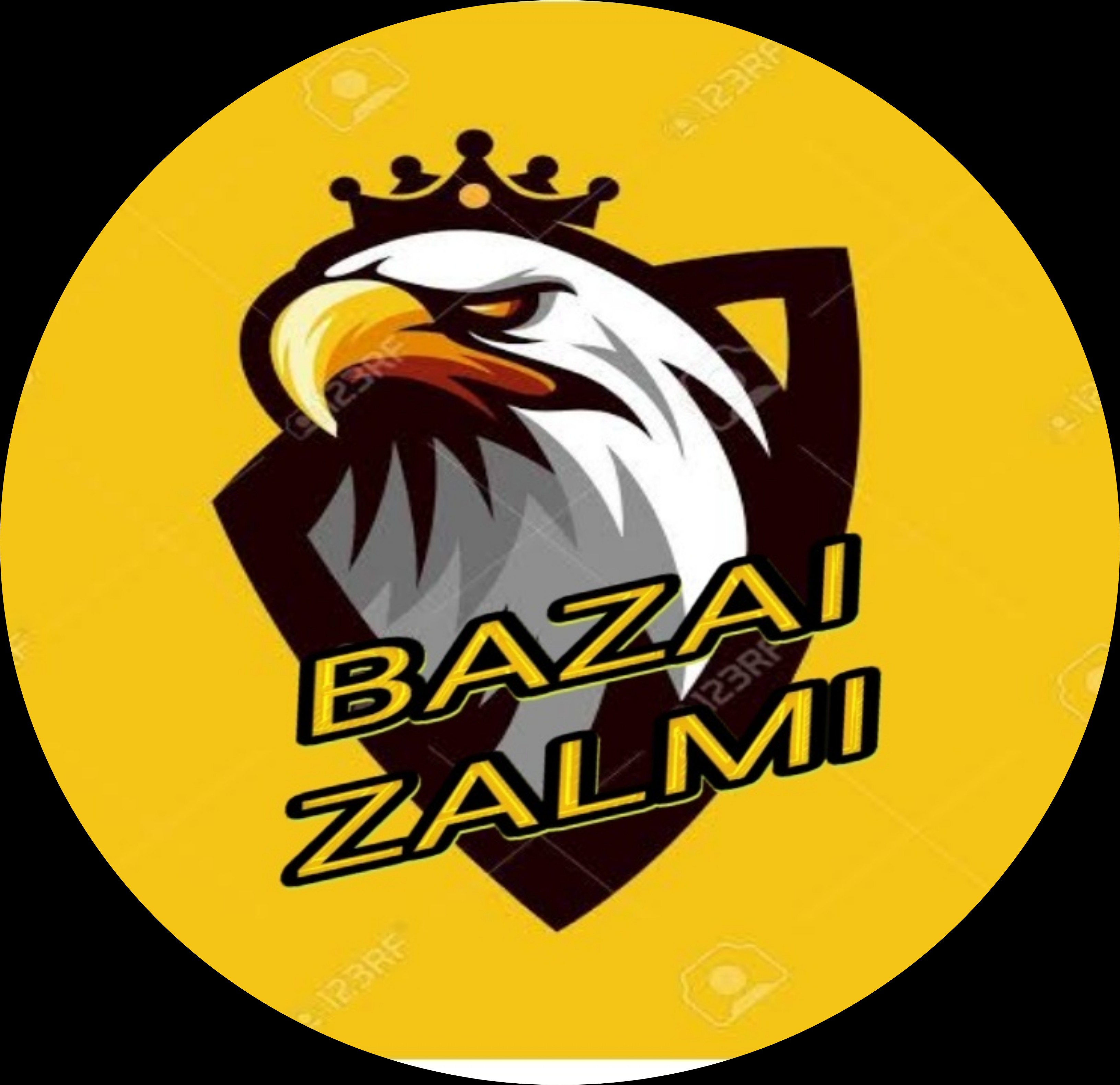BAZAI Z