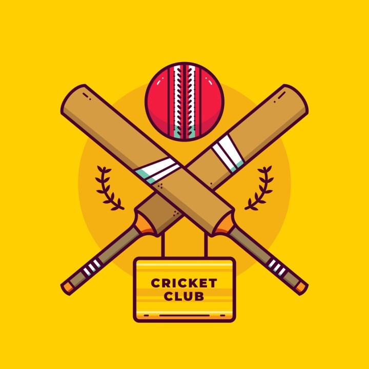 6H Cricket Cup