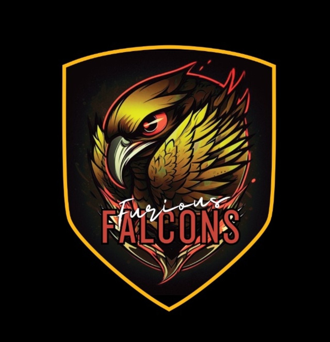 Furious Falcons