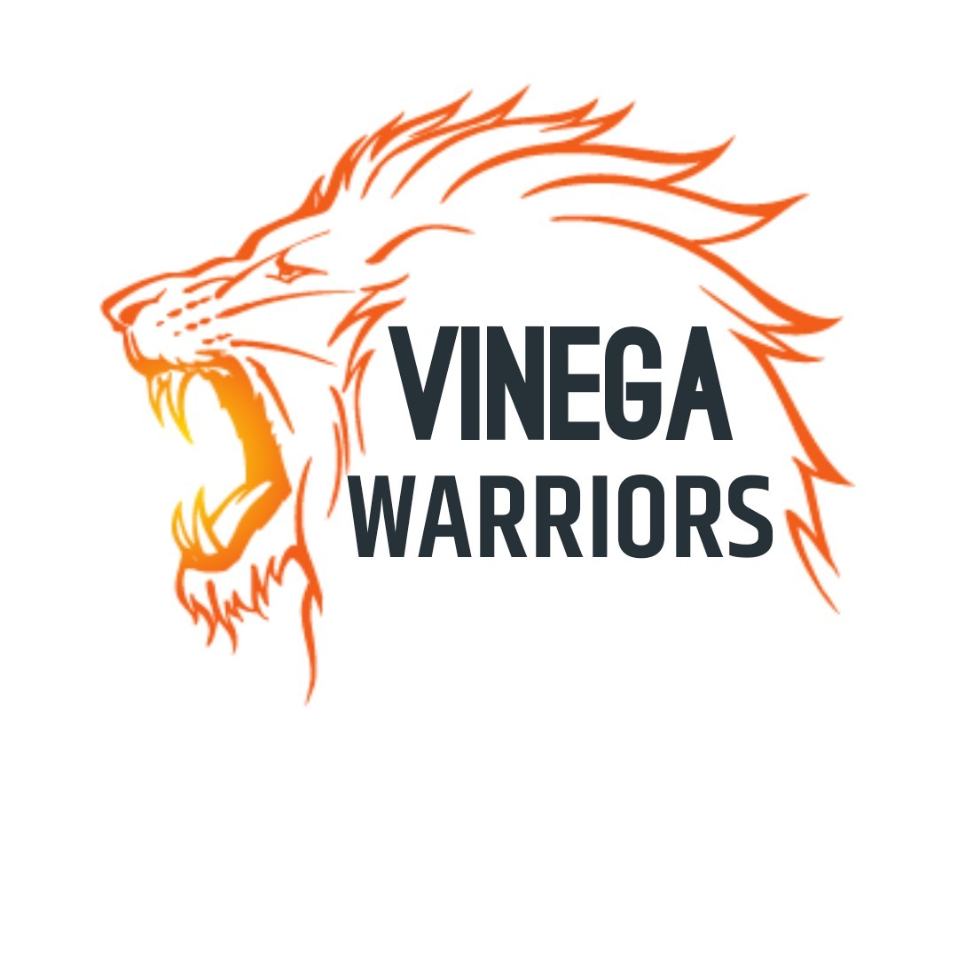 VINEGA WARRIORS