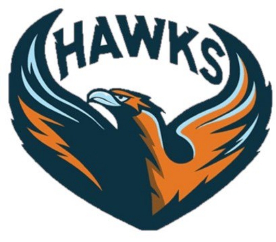 Hermanus Hawks