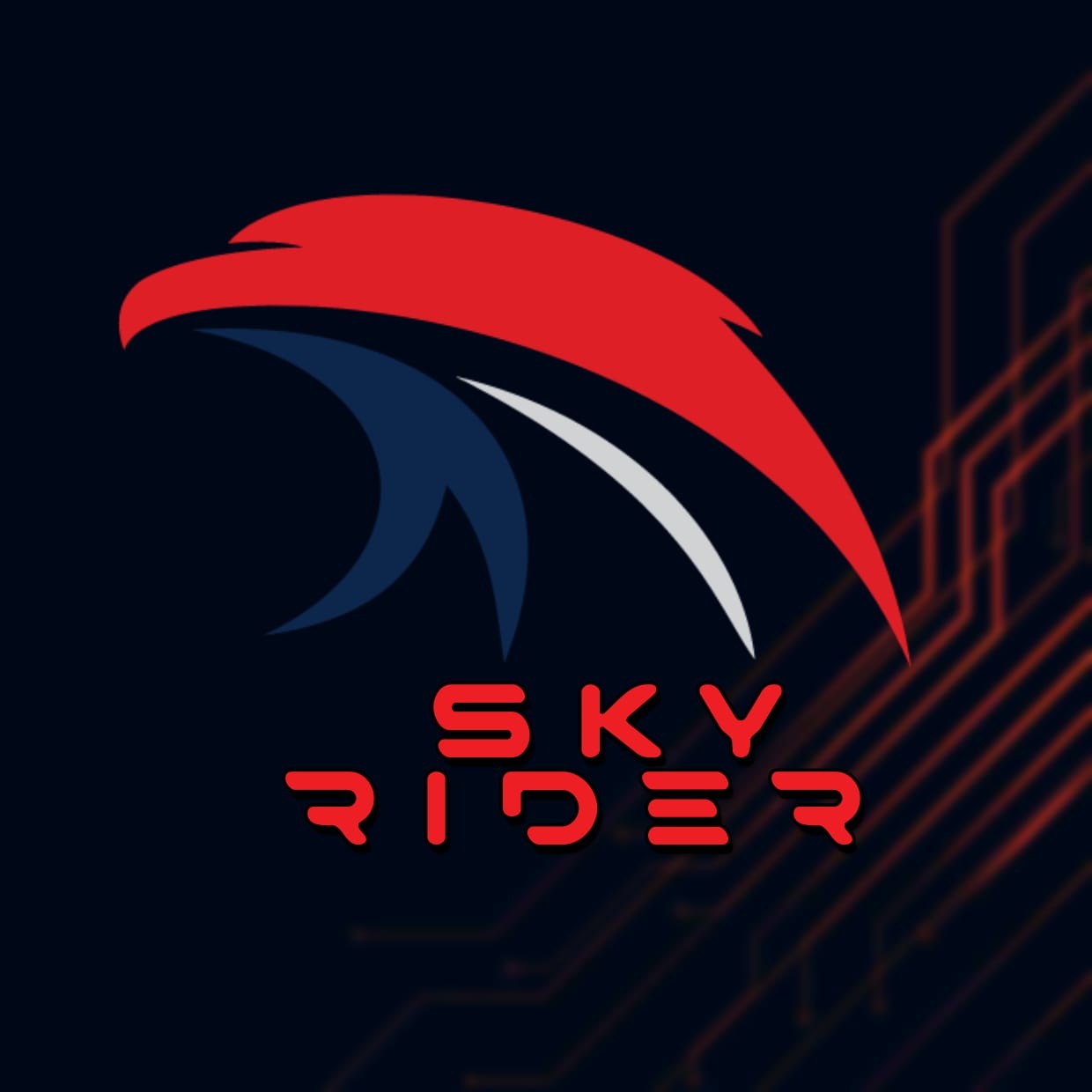 SKY RIDERS