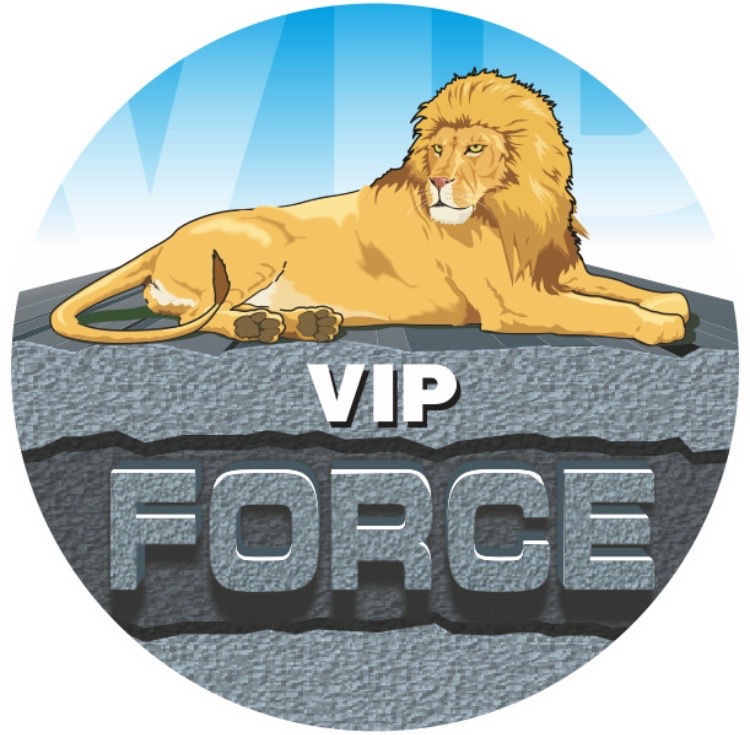 VIP FORCE