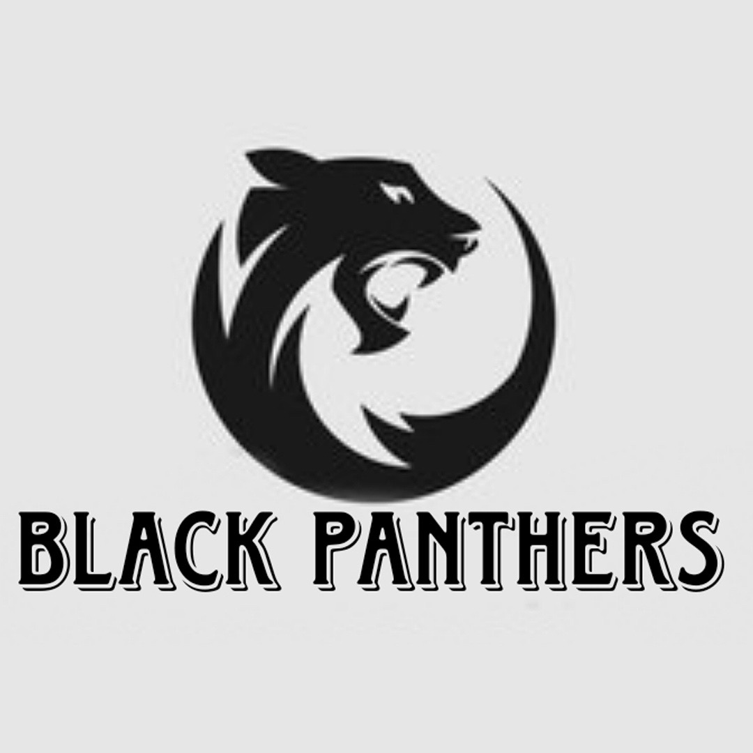 Black Panther S