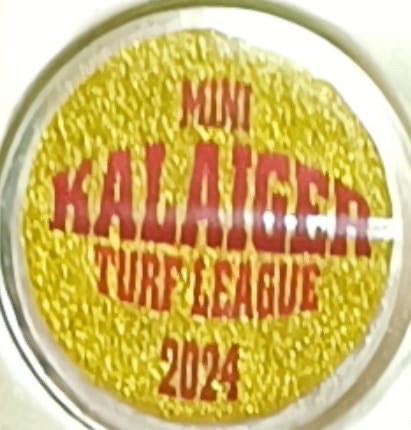 MINI KALAIGER TURF LEAGUE 1