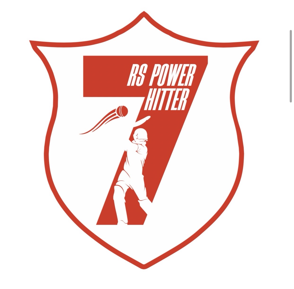 RS Power hitter