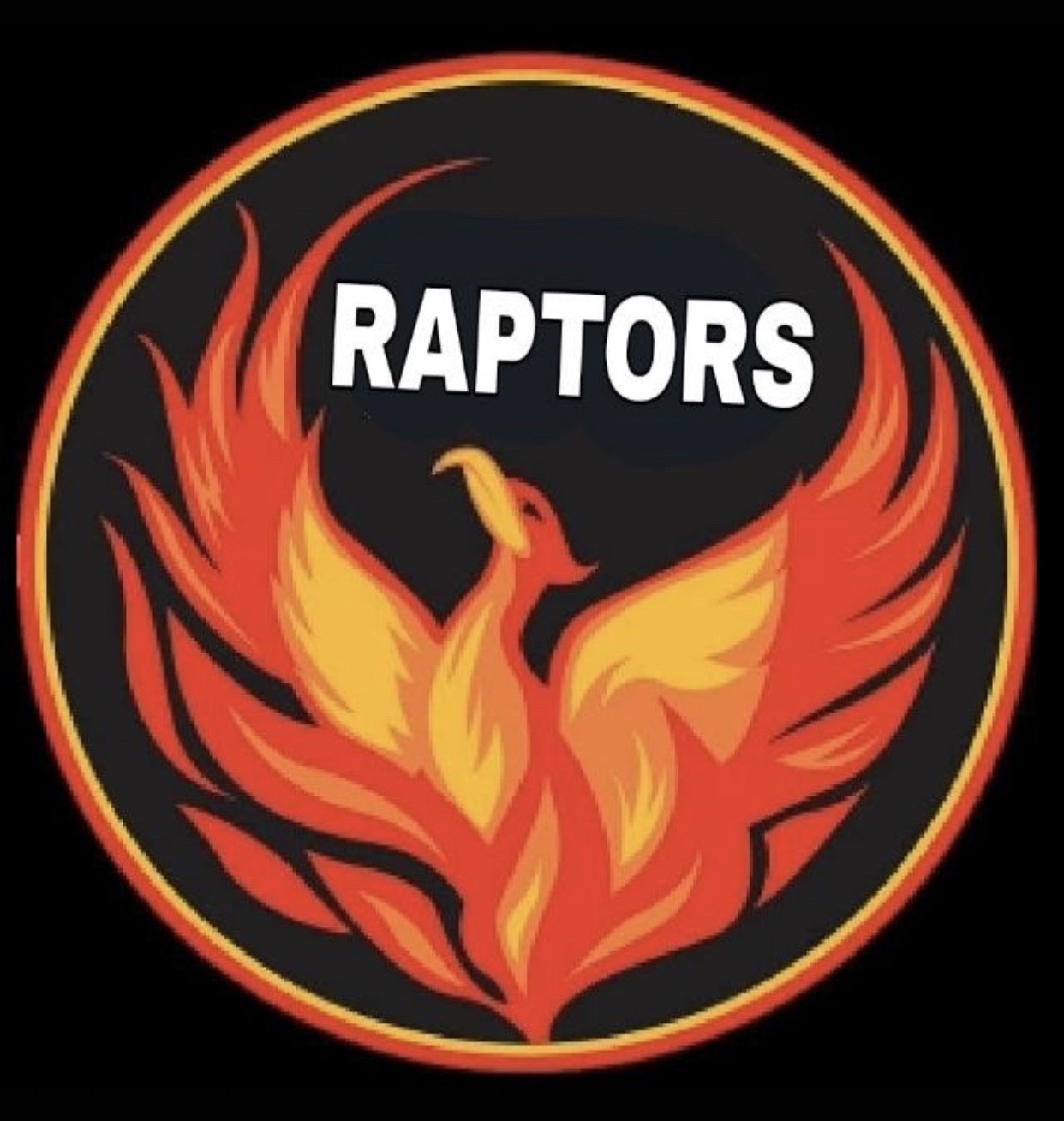 Raptors