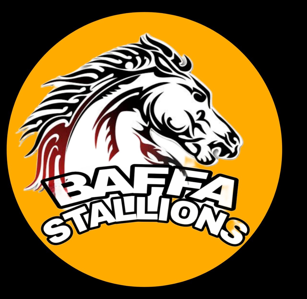 BAFFA-STALLIONS