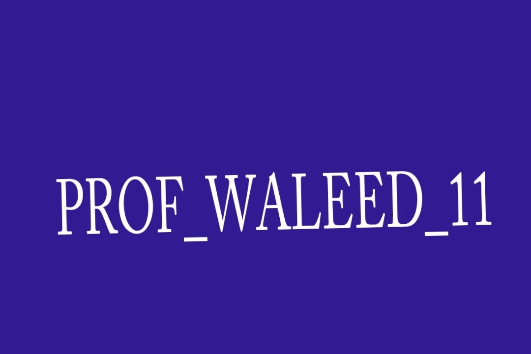 FROF WALEED 11