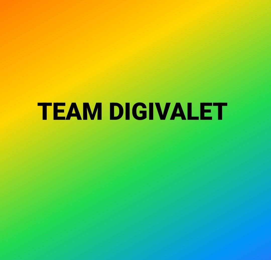 TEAM DIGIVALET