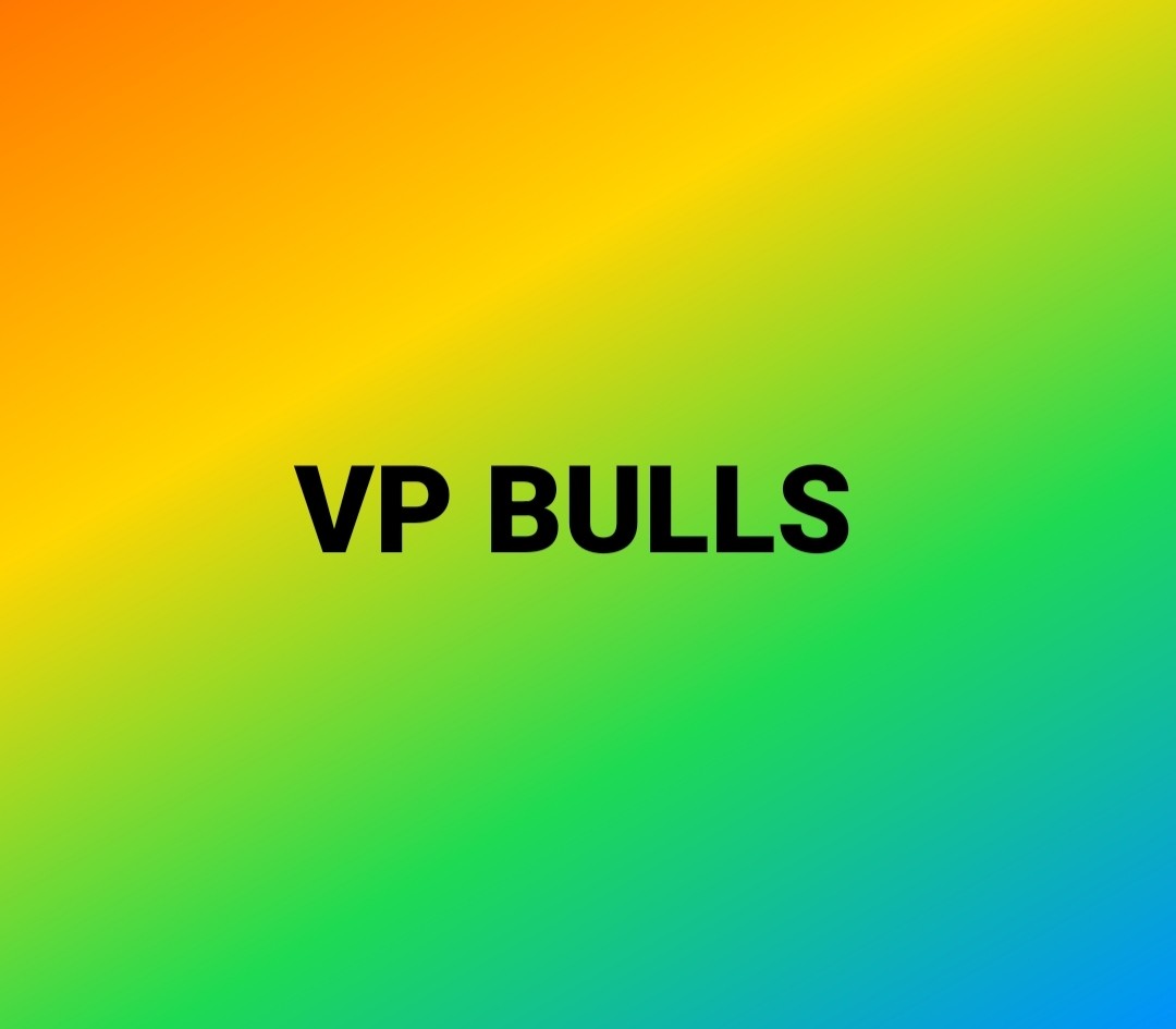 VP BULLS