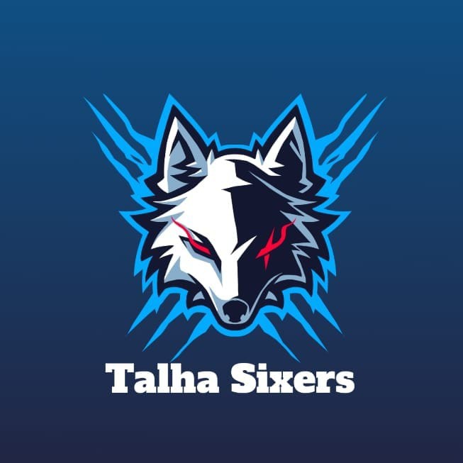 Talha Sixer