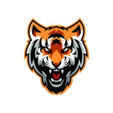 Tiger CC