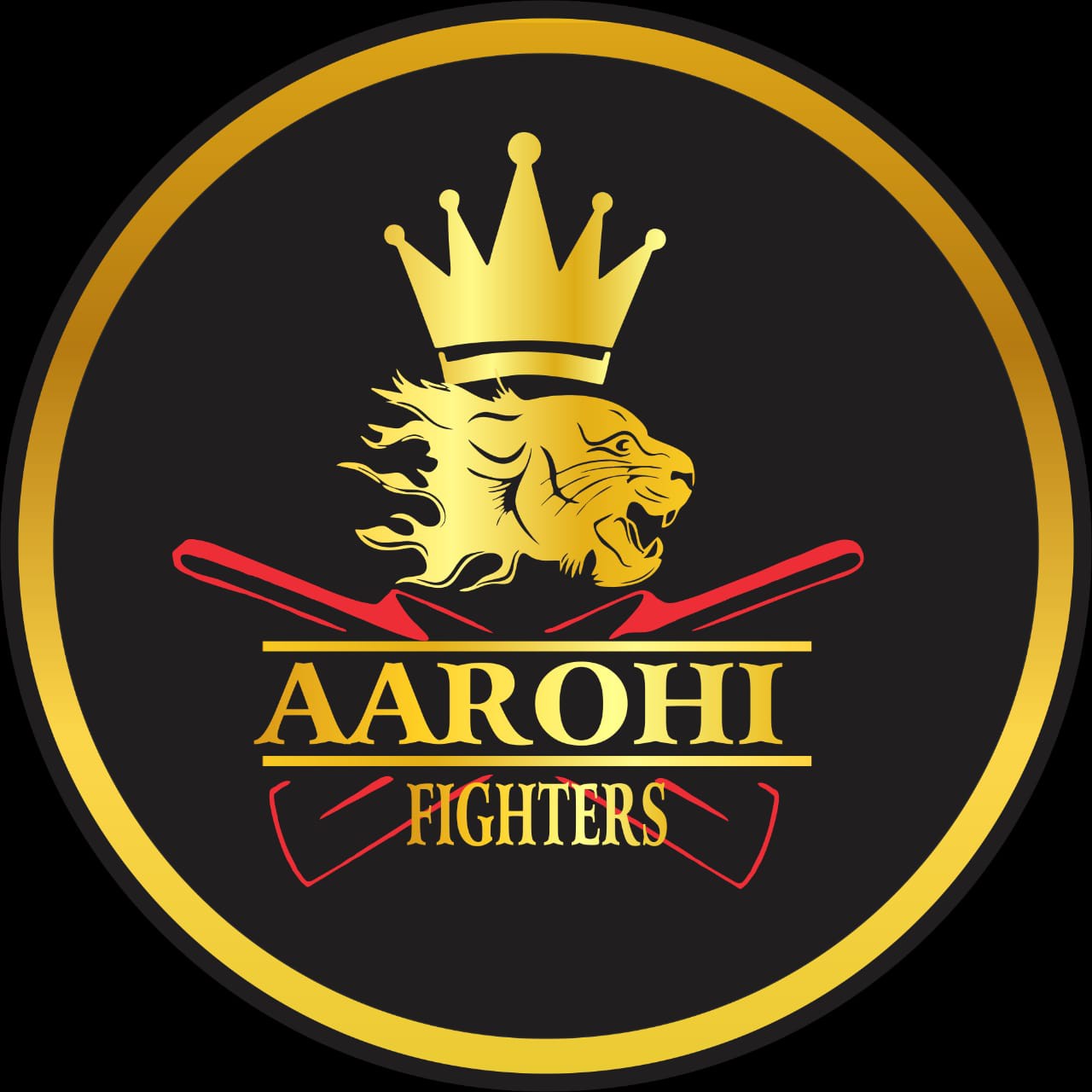 Aarohi Fighters