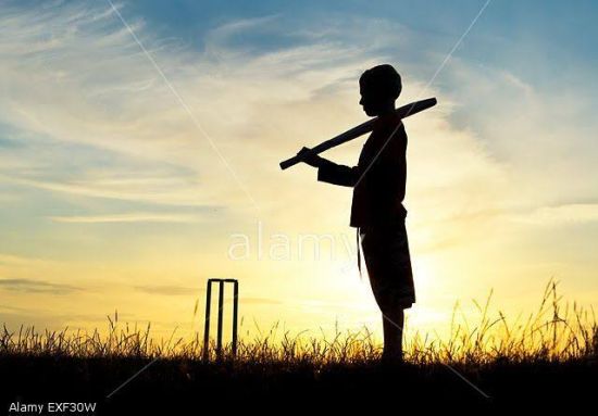 Young Cricket Warrior