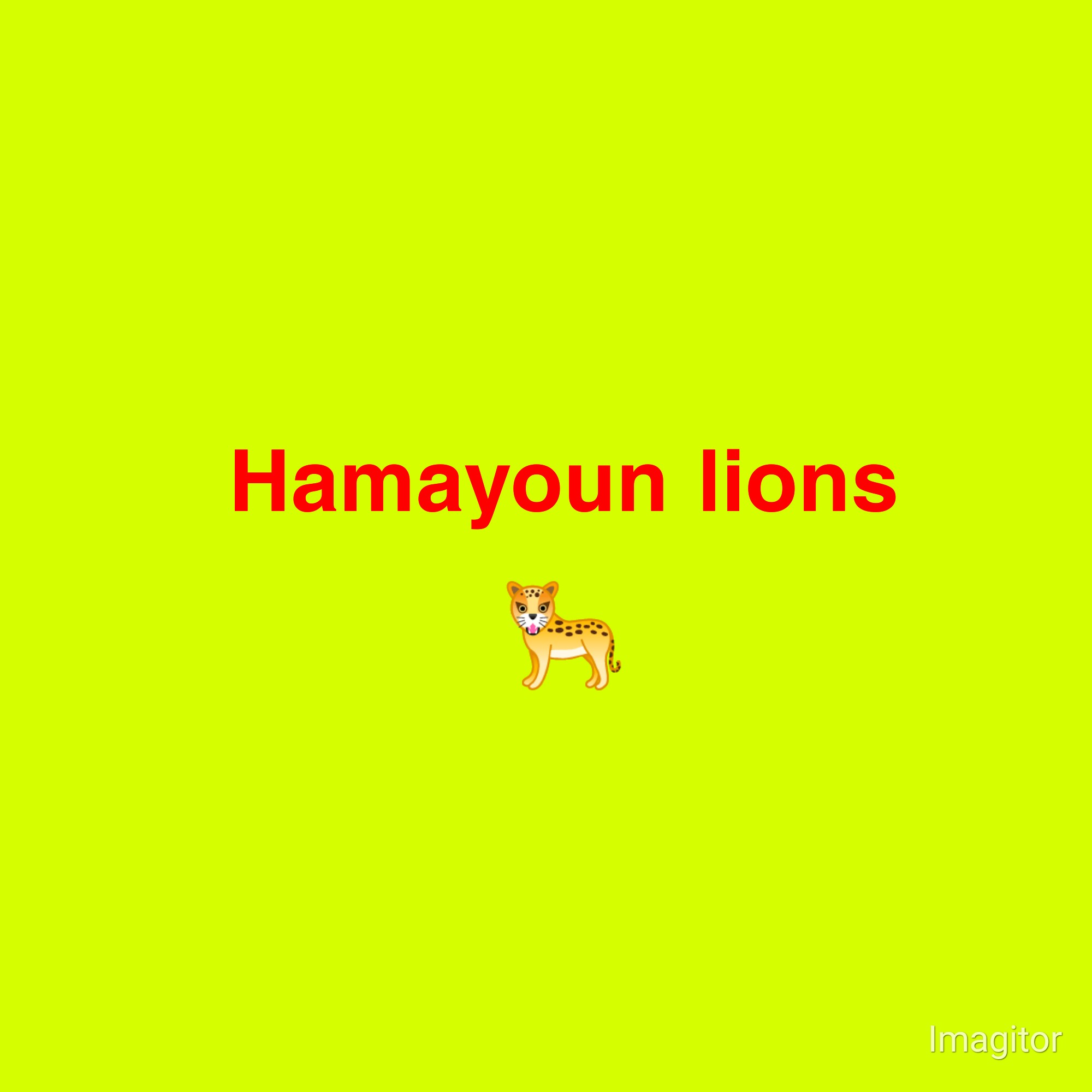 Hamyoun Lions