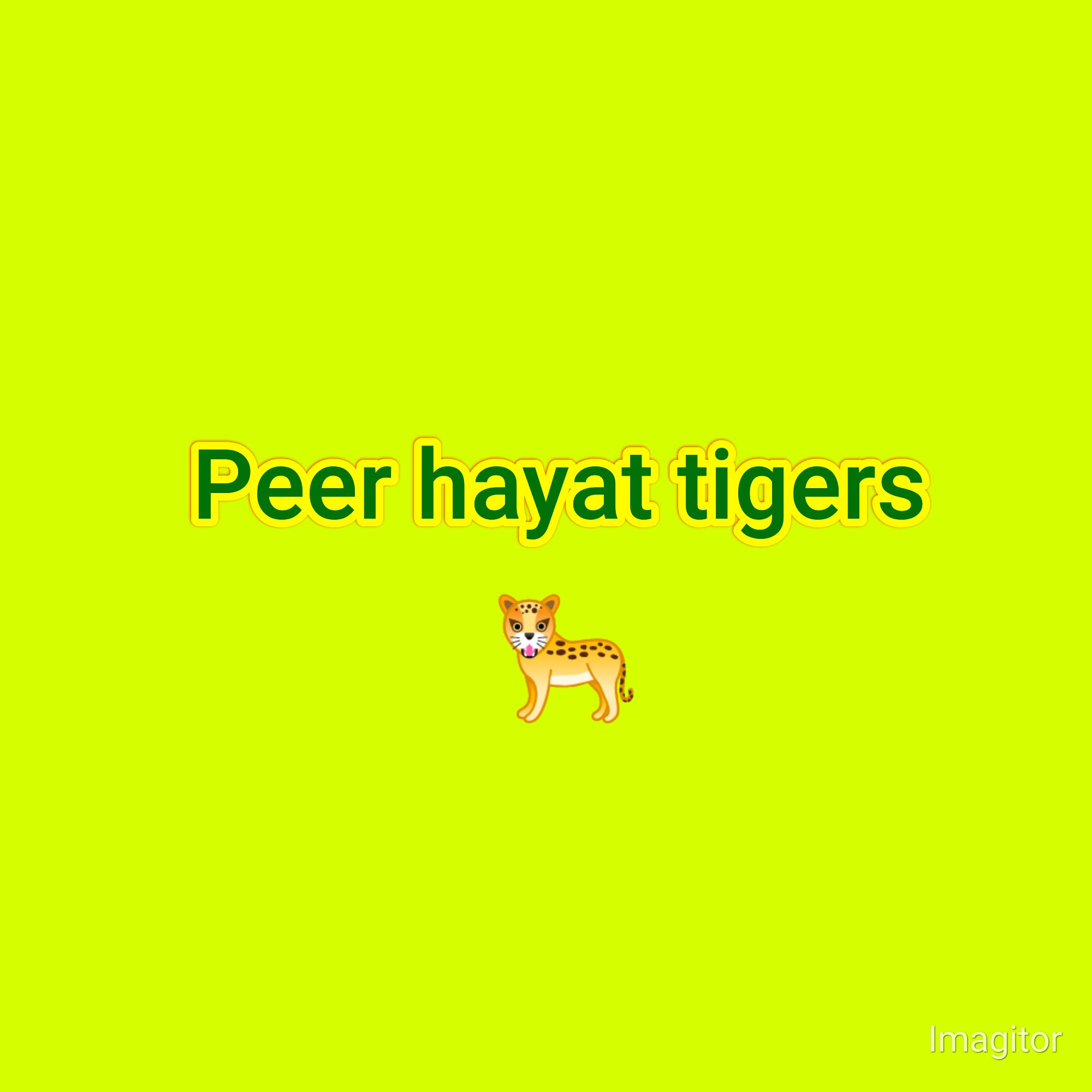 Peer Hayat Tigers