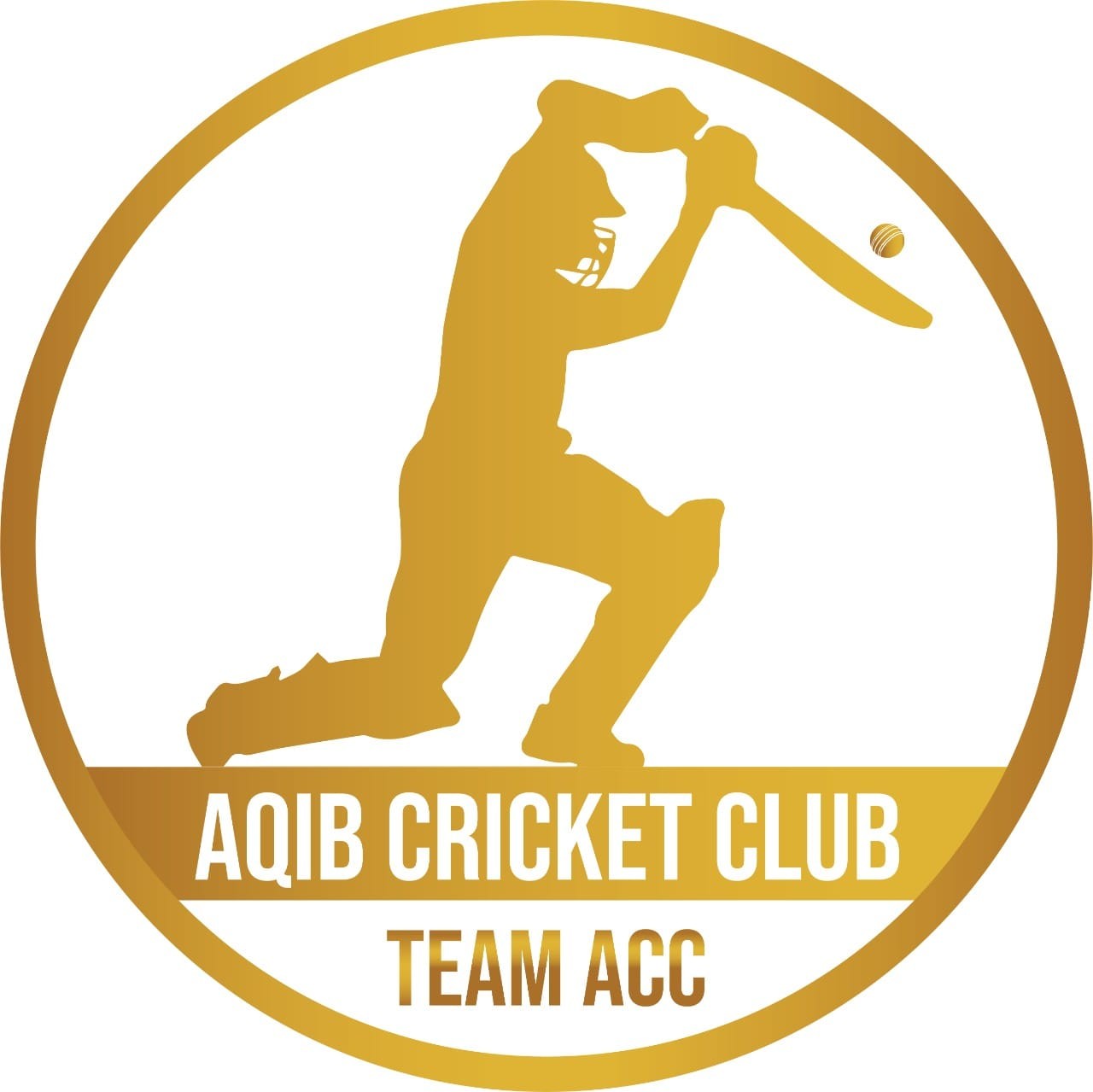 ACC Team