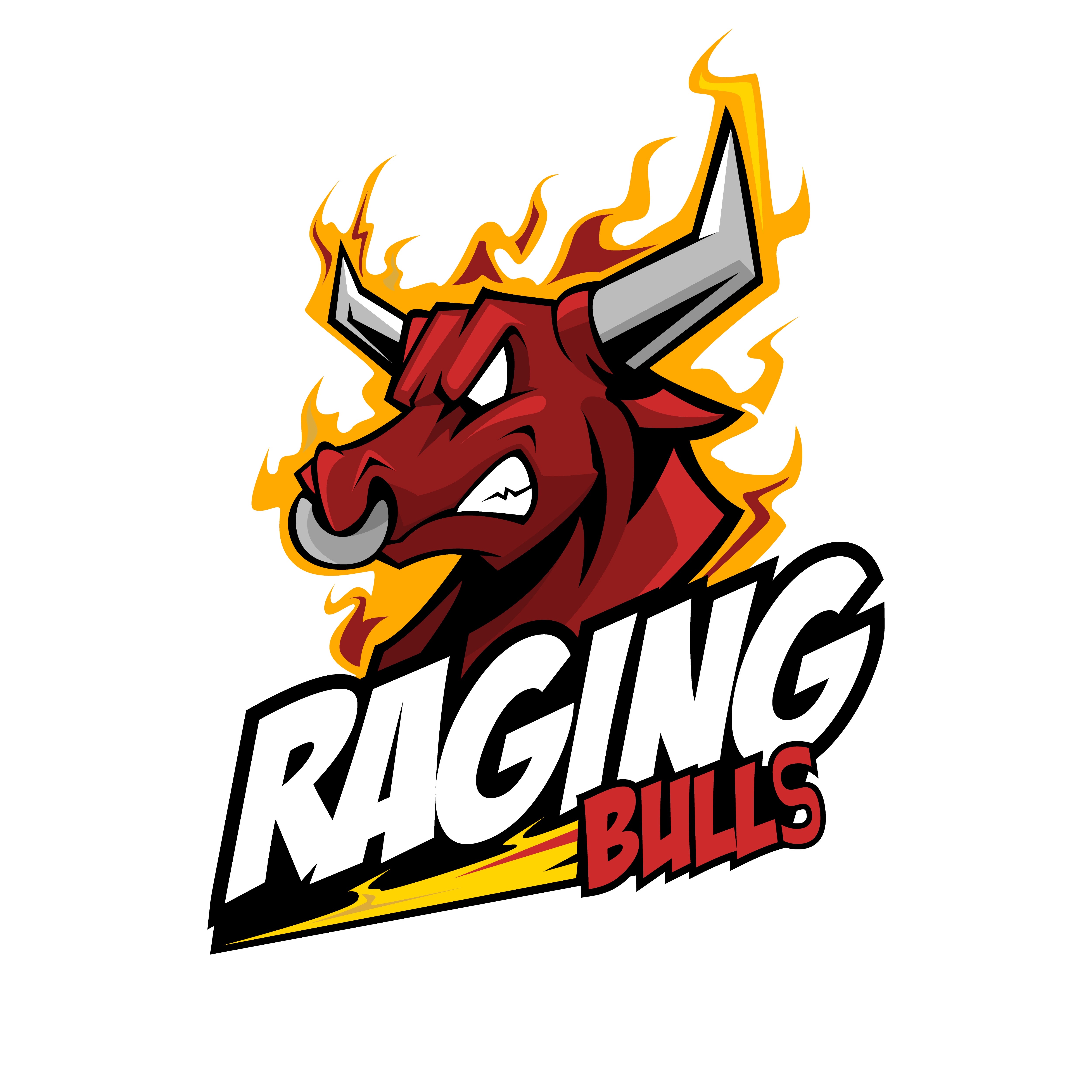 TFS Raging Bulls