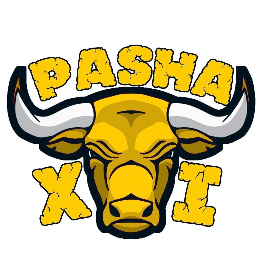 Pasha XI Isb