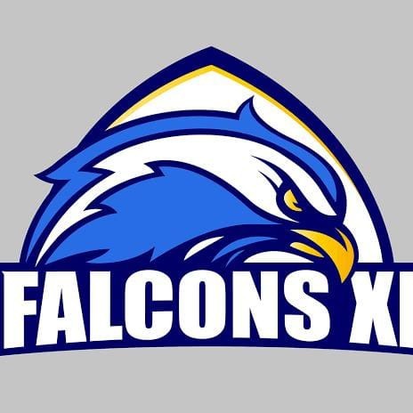 CVD Falcons