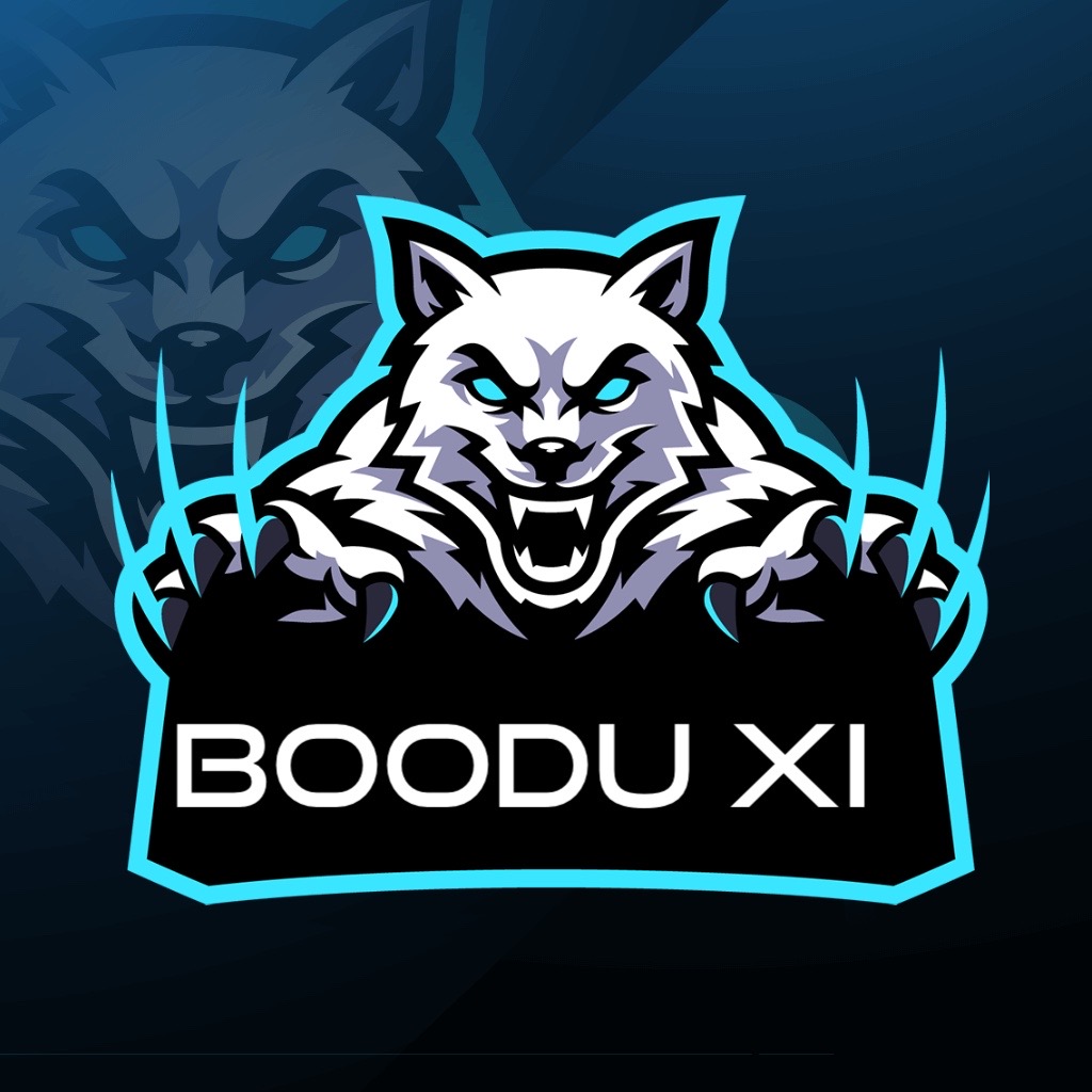 BOODU XI