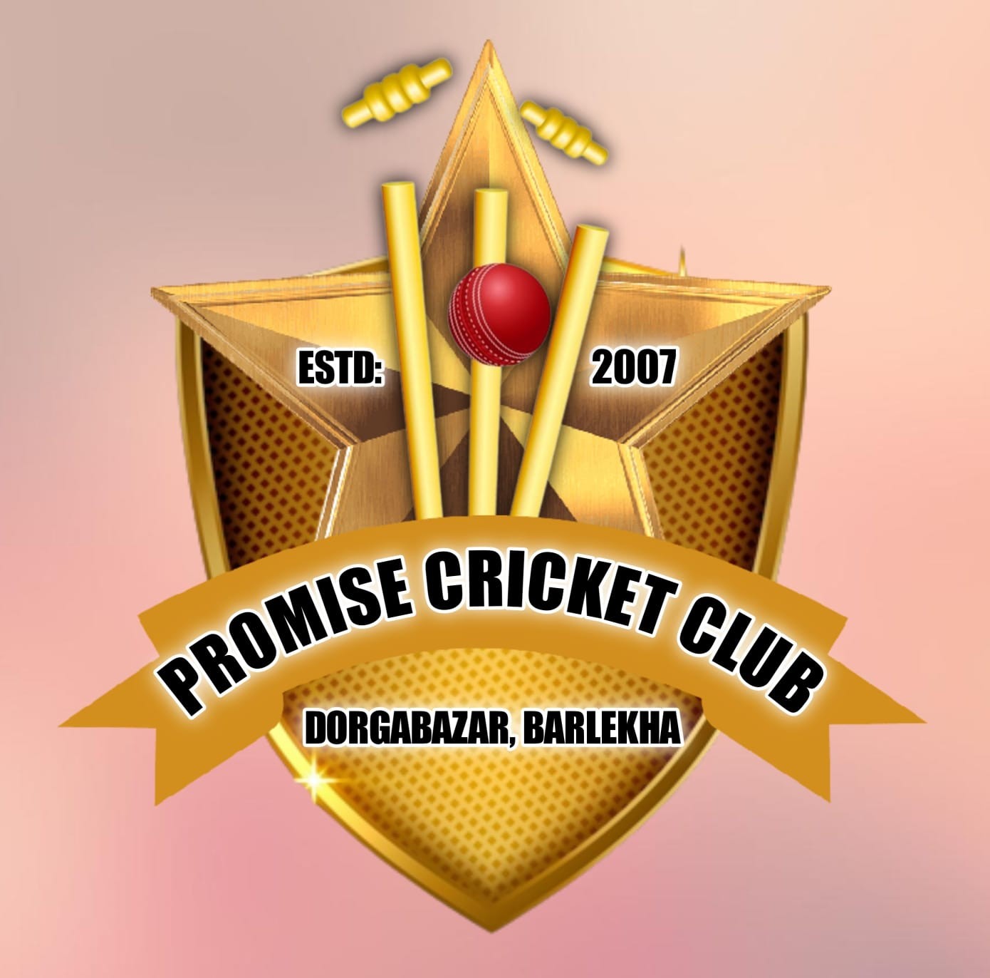 Promise Cricket Club Dorgabazar