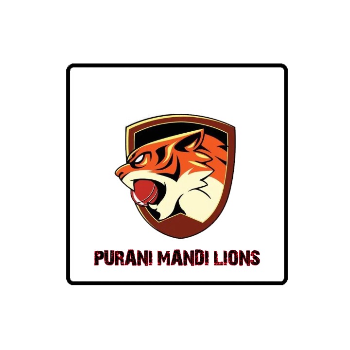 PURANI MANDI LIONS