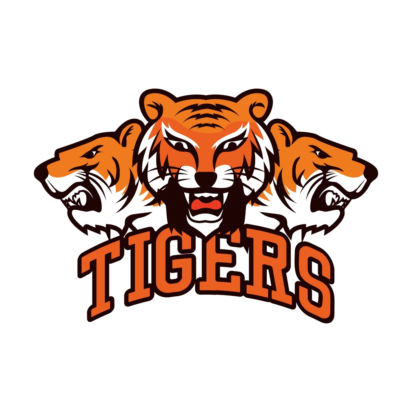 PATHAN TIGERS