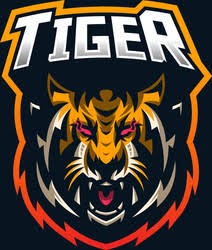 CM TIGERS