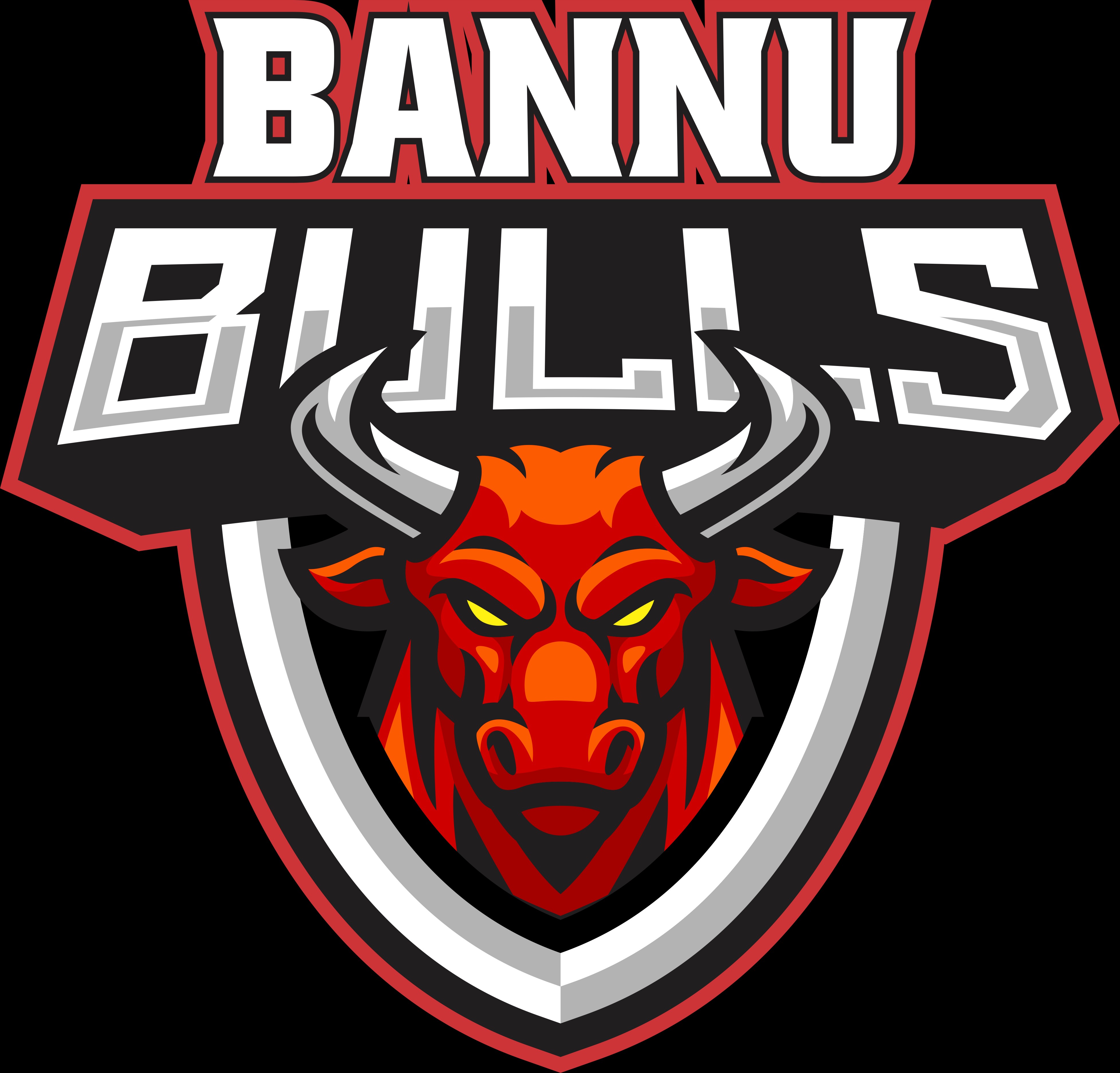 BANNU BULLS