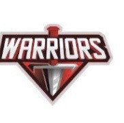 Falcon Warriors