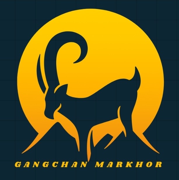 Gangchan Markhor