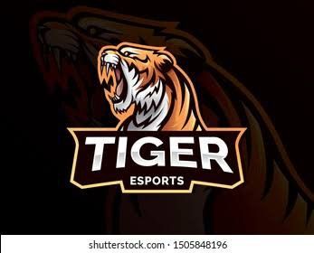 TIGER STAR CHINGLAI