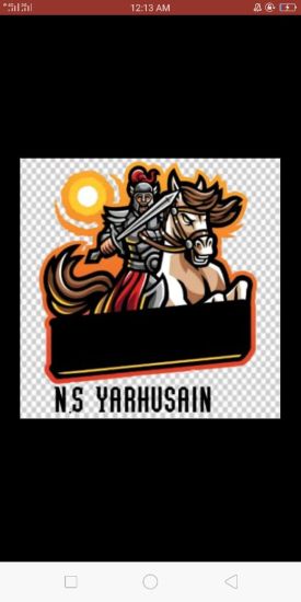 N S YARHUSSAIN