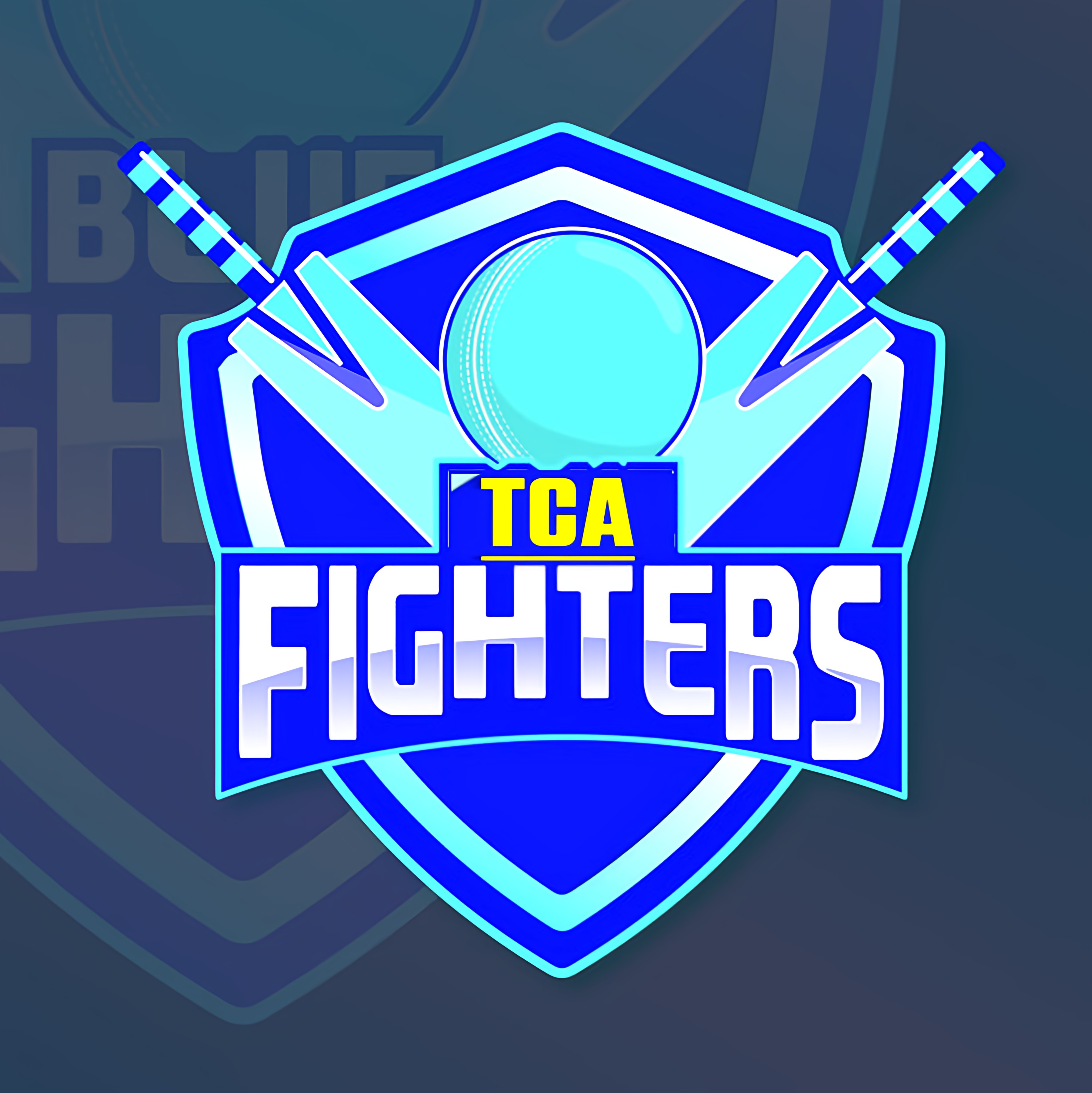 TCA Fighters