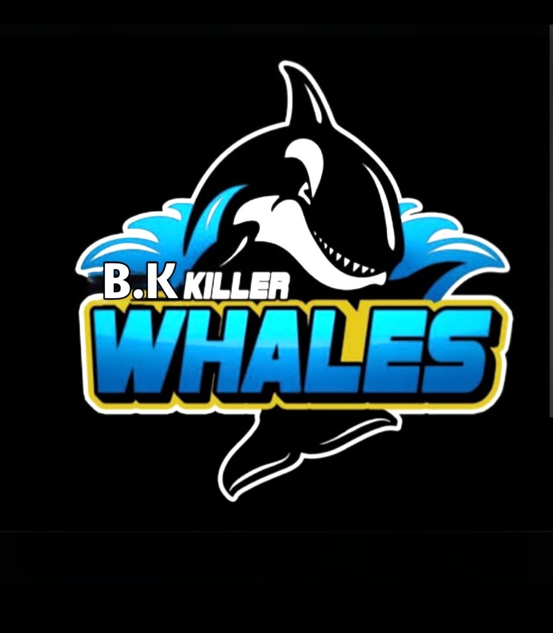 Bk Killer Whales