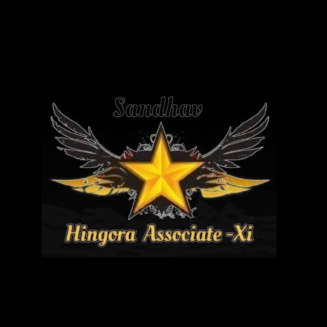 HINGORA ASSOCIATE -  S