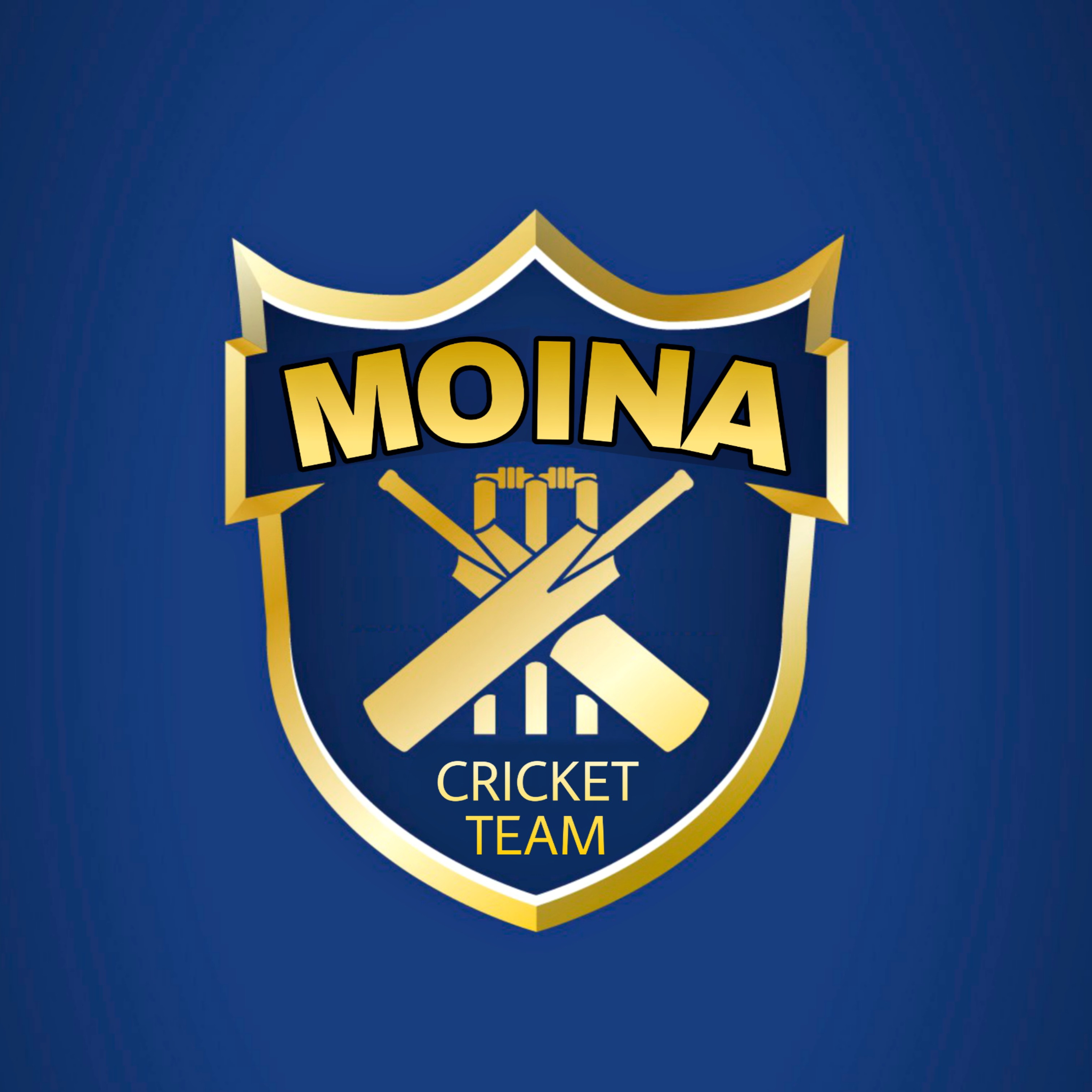 Moina Cricket Team